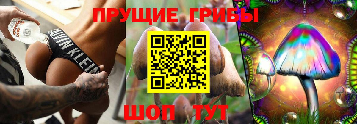 Псилоцибиновые грибы Cubensis  Вход с VPN  Спасск-Дальний 
